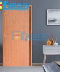 CỬA GỖ MDF.MP1R3